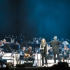 Фоторепортаж с концерта Стинга в Минске, программа Симфонисити. Photos from concert Sting in Belarus, tour Symphonicities.