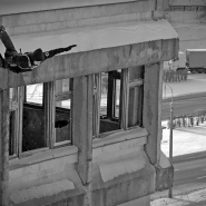 Я буду птицей...