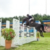 horses-csio2-13