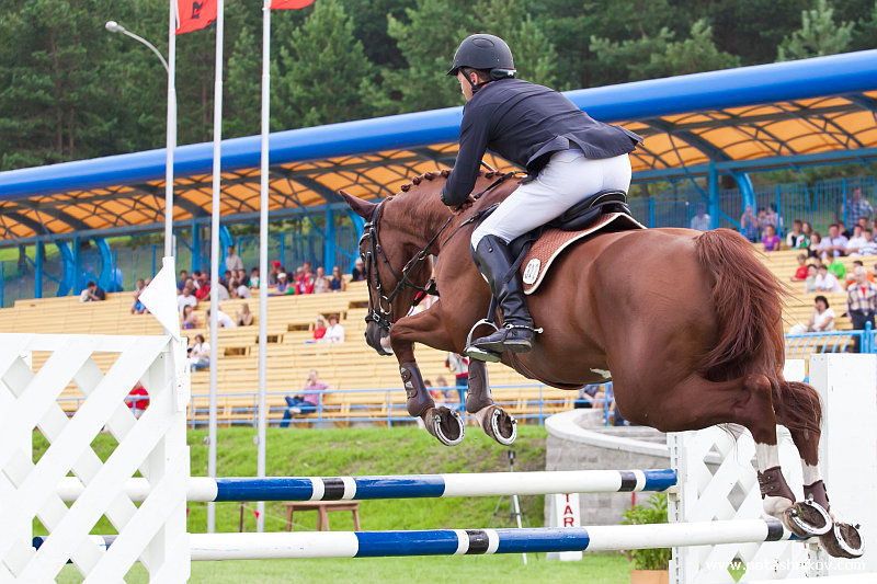 horses-csio2-24