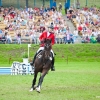 horses-csio2-27