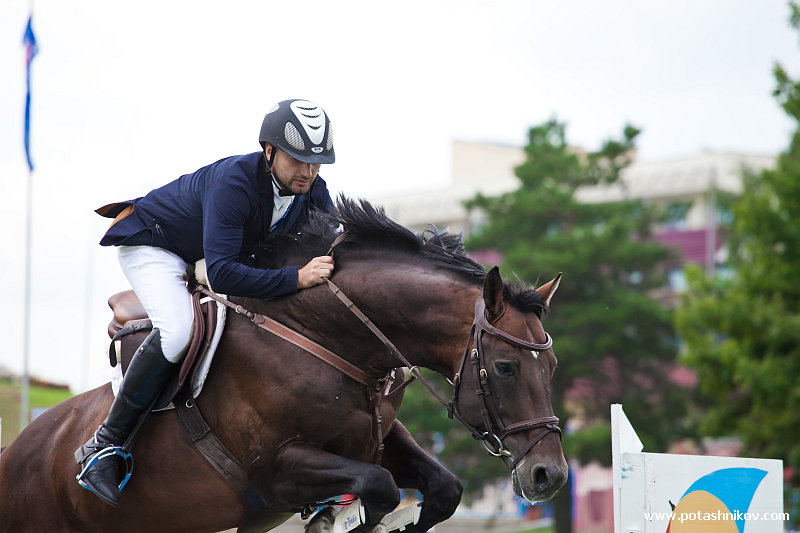 horses-csio2-28