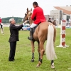 horses-csio2-39