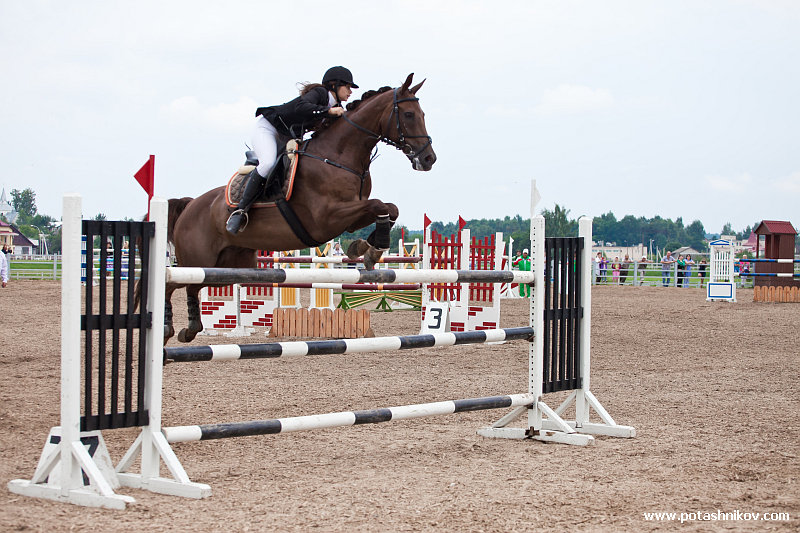 horses-csio2-4