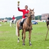 horses-csio2-40