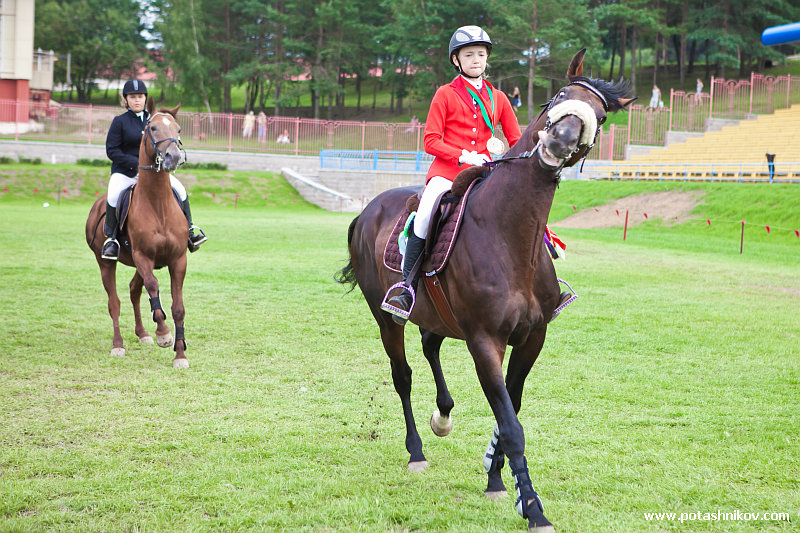 horses-csio2-42
