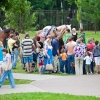 horses-csio2-43