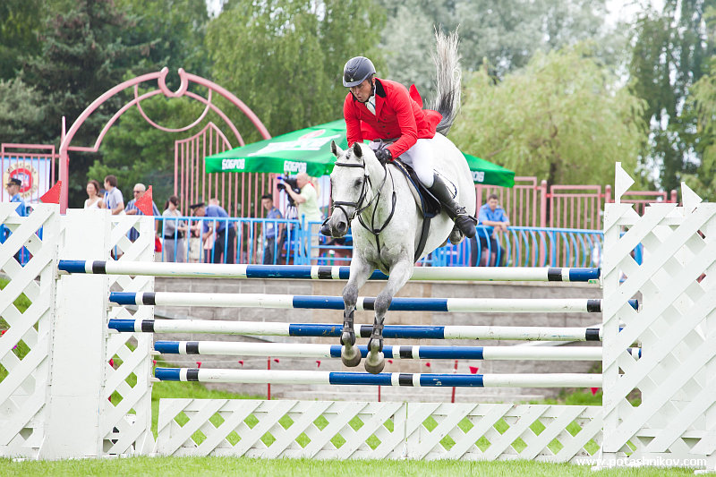 horses-csio2-45