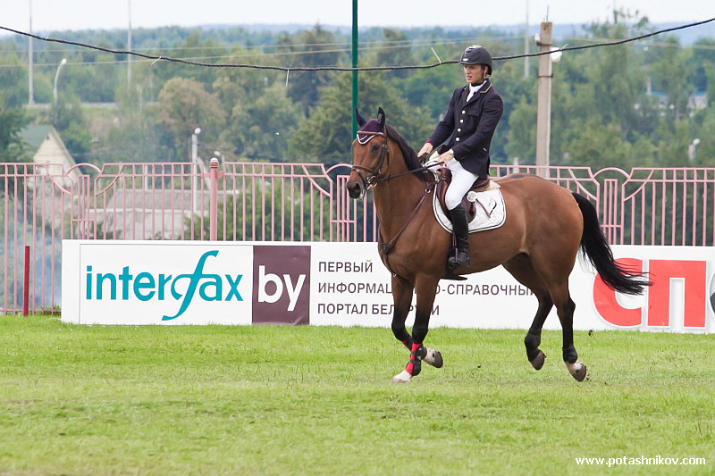 horses-csio2-47