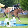 horses-csio2-49