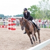 horses-csio2-5