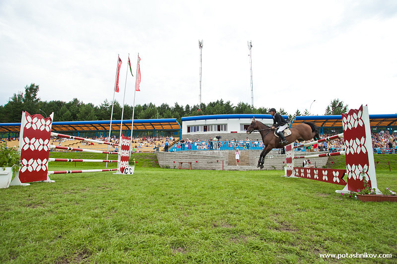 horses-csio2-50