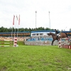 horses-csio2-50