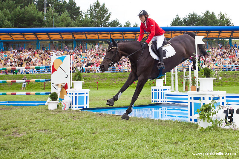 horses-csio2-51