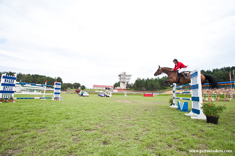 horses-csio2-52
