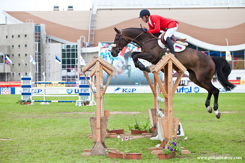 horses-csio2-53