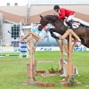 horses-csio2-53