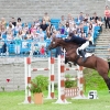 horses-csio2-54