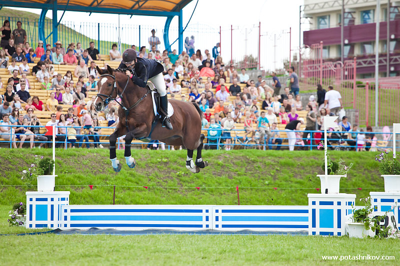 horses-csio2-55