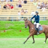 horses-csio2-57