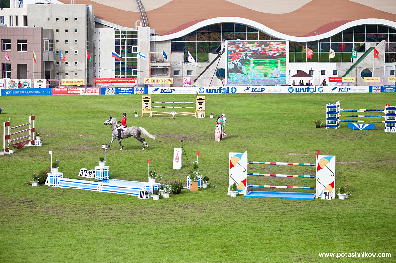 horses-csio2-61