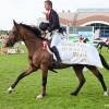 horses-csio2-67