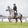 horses-csio2-9