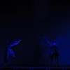 mamont-festival-28