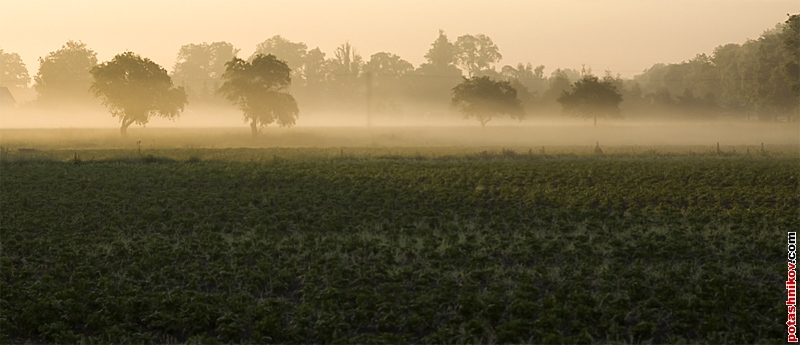 По пути в Голландию