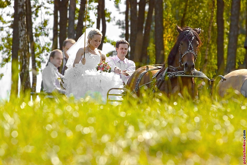 Профессиональный свадебный фотограф в Минске. Цены на свадебную фотосессию.
